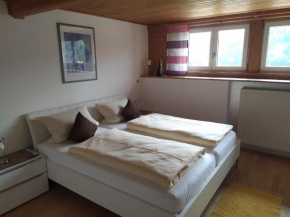 Ferienwohnung Hofmann mit Balkon und Donaublick
